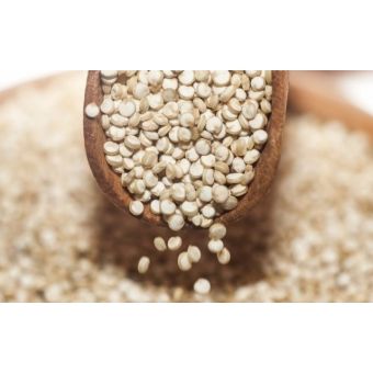 Quinoa Grão 500G