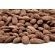 AMÊNDOA TORRADA SALGADA 500g